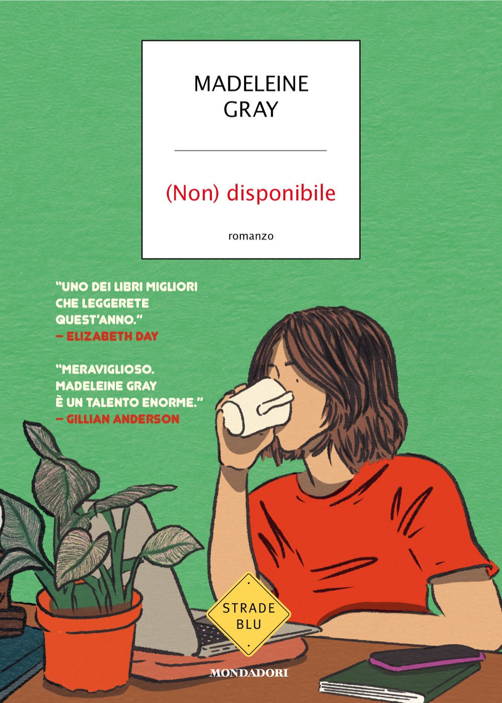 (Non) Disponibile (di Gray Madeleine - Ed. Mondadori)